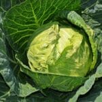 Składniki mistrzów – co zawsze mają przy sobie najlepsi?